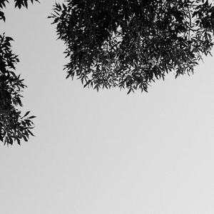 91麻豆传传媒波多野衣久久
