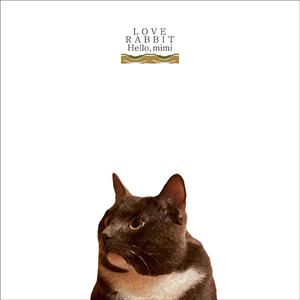 91麻豆传传媒波多野衣久久
